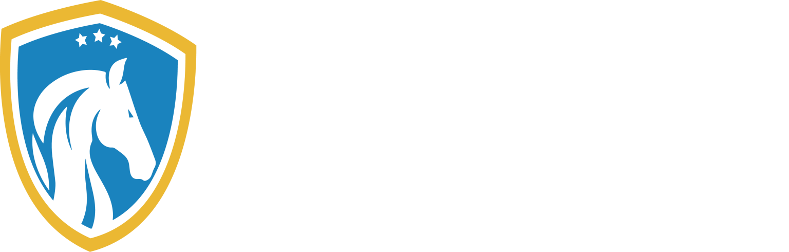 Buraq Cars - Logo